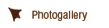 Photo Gallery